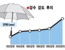 이상기후에 따른 잦은 게릴라성 호우피해, “기능성 보도블록으로 차단한다” 