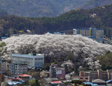 도시 온도 낮추는 휴식공간 '도시숲’ 50곳