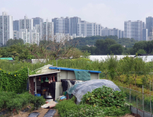 12년 만의 그린벨트 해제, '도시 열섬화 가속'