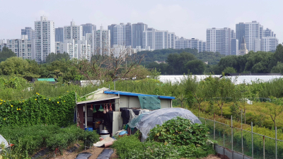 12년 만의 그린벨트 해제, '도시 열섬화 가속'