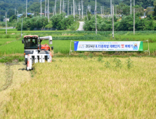 영주시, 8·15 광복쌀 재배단지 ‘첫 벼베기’ 외 [영주소식]