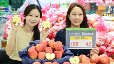 농협 하나로마트, “추석 인기 과일 홍로 맛보세요”