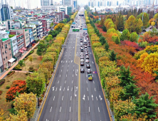 '도심 속 명품 가로수 여기에' 올해 우수 관리 가로수길 6곳 선정...20일 산림청 소식