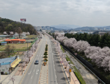 김천 조각공원·영주 서원로, ‘우수 가로수길’ 선정