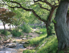 고창군, ‘왕버들숲’·‘비격진천뢰’ 국가지정 유산 승격 용역