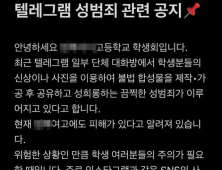 ‘텔레그램 딥페이크 범죄’ 확산…피해 의혹 학교 명단 공유도