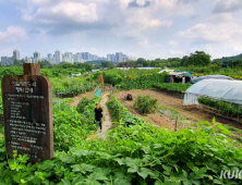 서울시, 그린벨트 토지거래 집중 조사...불법행위 차단