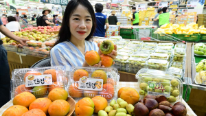 한가위 명절 “햇밤·햇대추·햇단감이 나왔어요!”