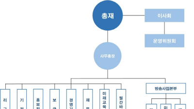 김앤장 선임하고도 무릎 꿇은 한국기원, 다른 대책 없나