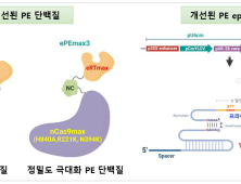 경상국립대, 쌍떡잎식물 유전체 교정에 새로운 '프라임 에디팅' 기술 개발