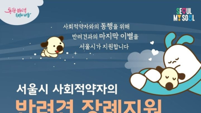 “댕댕이 맡아드려요”…서울시 ‘펫위탁소’ 확대 운영