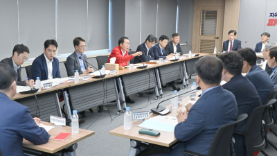 홍준표 대구시장, TK신공항 ‘플랜B’ 검토 지시…‘군위 단독’ 카드 꺼내