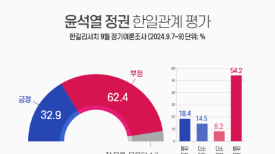 국민이 본 尹 ‘한일외교’ 성적표는…‘잘 못해’ 62.4% [쿠키뉴스 여론조사]