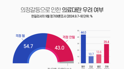 국민54.7% “의정갈등으로 의료대란 걱정” [쿠키뉴스 여론조사]