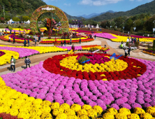 인제 가을꽃축제, 29일 용대리 일원서 개막