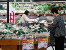 ‘불경기에 집밥 수요↑’…온라인 식품 연매출 50조원 눈앞