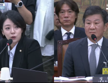 배현진 의원 “축구협회 공식 문건에 ‘현대산업개발’ 너무 많이 등장”