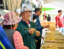 ‘매년 색다른 재미’…‘2024 경북 영주 풍기인삼축제’ 내달 5일 개막