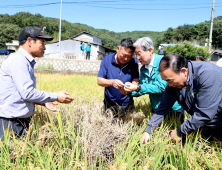 벼 병충해인 벼멸구 확산…의령군 2억3천만원 예산 긴급 투입