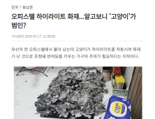 고양이가 불낸 거 맞아요!...그런데 인덕션은 불이 나지 않을까?