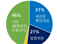 해외직구 통관 보류 연평균 27만 건… 리얼돌 반입, 2022년 이후 1406건