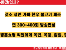 조성우 전 대표 “티메프 미정산 21억, 그대로 놔두고 퇴직” [2024 국감]