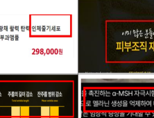 소비자 절박한 심정 '악용'...화장품 & 의료기기 부당광고 '기승'