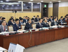 '같은 선로 다른 열차, 코레일-SR 이상한 경쟁체제 멈춰야' [2024 국감]