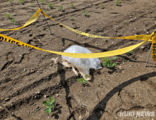 北, 평양 무인기 침투 주장…오물풍선 일부 철원 낙하