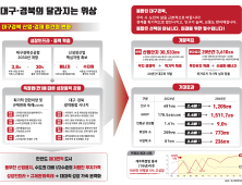 대구·경북 통합 ‘특별시’ 장밋빛 전망…“2045년엔 인구·일자리 GRDP 서울 추월”