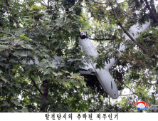 北 ‘한국군 무인기, 평양에’ 주장에…합참 “대꾸할 가치도 없다”