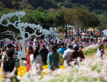 인제 가을꽃축제 25만명이 즐겼다…역대 최다 