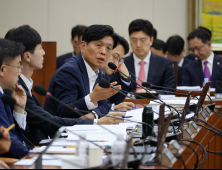 “구글, 인앱 환불 현행법 위반 약관 고수…지적에도 시정 없어” [2024 국감]