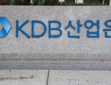 산업은행 “KDB생명 매각 불발 이유…낮은 지급여력비율” [2024 국감]