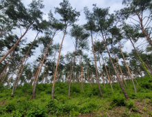 의령군산림조합, 2024년 산불 예방 숲 가꾸기 사업 본격 시행