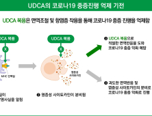 대웅제약 “우루사 주성분, 코로나19 중증 위험도 33% 낮춰”