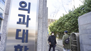 “의대 교육 6→5년 단축 가능...과밀 해소는 대학 자율로”