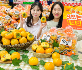 '비타민 듬뿍', 제철 단감 드시고 건강 챙기세요