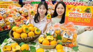 '비타민 듬뿍', 제철 단감 드시고 건강 챙기세요