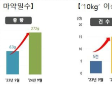 올해 마약 밀반입 적발 '1900만명 동시 투약분'