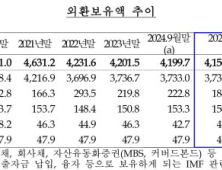 강달러 영향에 10월 외환보유액 42.8억달러↓