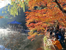 가을의 절정, 정읍 내장산 단풍빛에 물들어