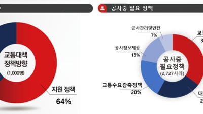 대전시민 “트램공사 기간 중 교통분산 정책 가장 중요”