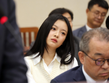 뉴진스 하니 직장 괴롭힘 사태에…예술인 보호법 첫발