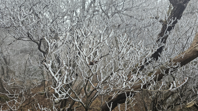 지리산국립공원 능선에 상고대가 ‘활짝’