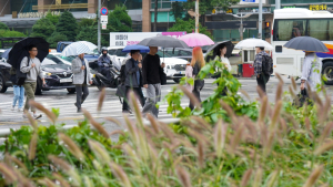 내일부터 급변하는 날씨…전국 비·산지 눈발 [날씨]