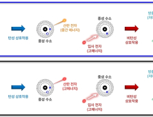 [쿠키과학]  핵융합 토카막 상용화 난제 '폭주전자' 규명