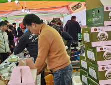 양구 시래기·사과축제 