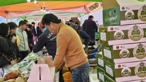 양구 시래기·사과축제 