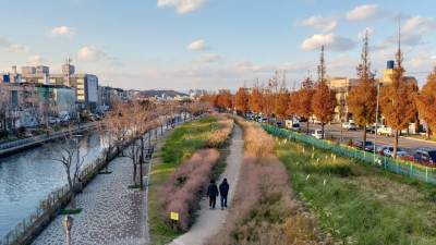 포항운하 수변정원, 꽃물결 ‘넘실’ 외 [포항소식]